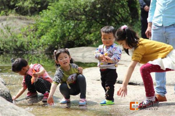 五一节高速路是否免费(五一节高速免费嘛) 五一节高速路是否免费(五一节高速免费嘛)