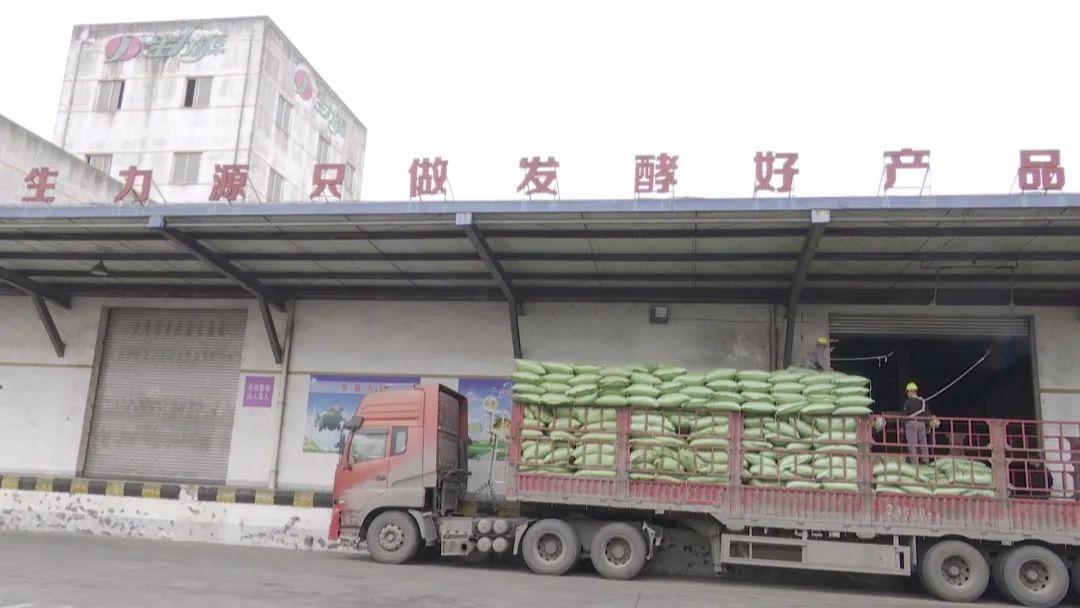 邛崃疫情最新情况发布,科学防控与全民行动共筑安全防线 邛崃疫情最新情况发布,科学防控与全民行动共筑安全防线