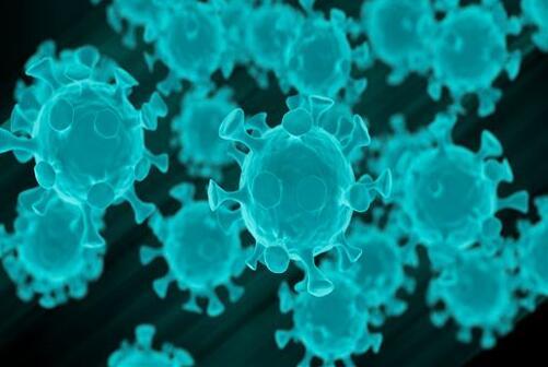 b.1.617变异毒株:变异毒株是什么名字 b.1.617变异毒株:变异毒株是什么名字