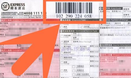 顺丰快递号码是多少(顺丰快递的号码是多少电话号码) 顺丰快递号码是多少(顺丰快递的号码是多少电话号码)