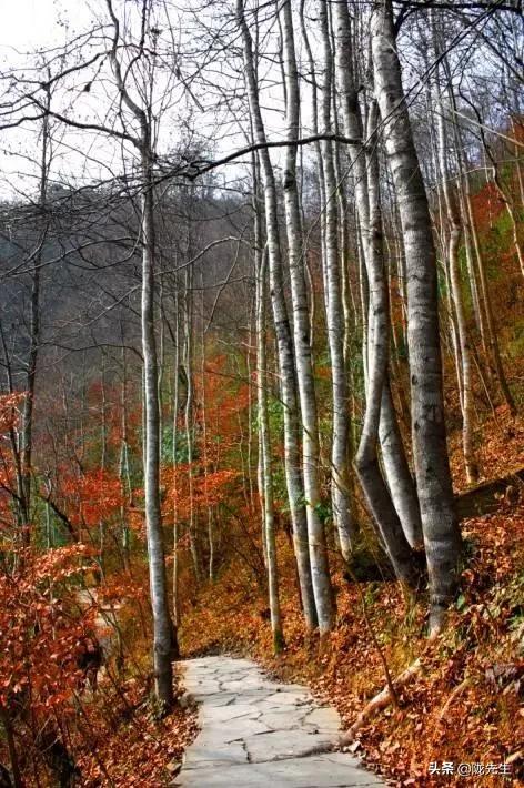 甘肃新增1例境外输入无症状感染者,疫情防控不松懈 甘肃新增1例境外输入无症状感染者,疫情防控不松懈