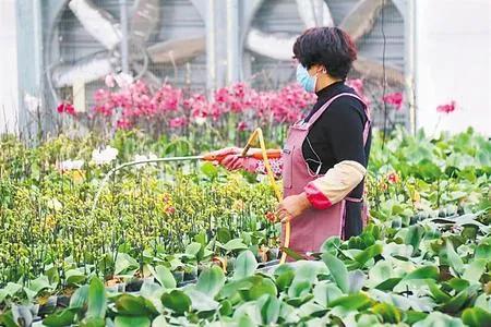 甘肃新增1例境外输入无症状感染者,疫情防控不松懈 甘肃新增1例境外输入无症状感染者,疫情防控不松懈