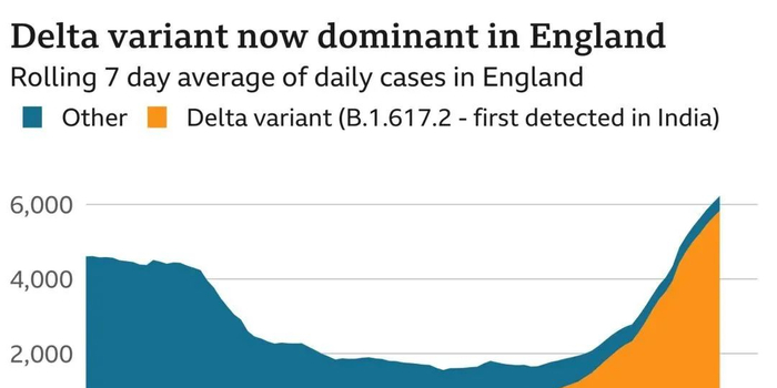 国产疫苗应对德尔塔,筑牢免疫屏障的关键一步 国产疫苗应对德尔塔,筑牢免疫屏障的关键一步