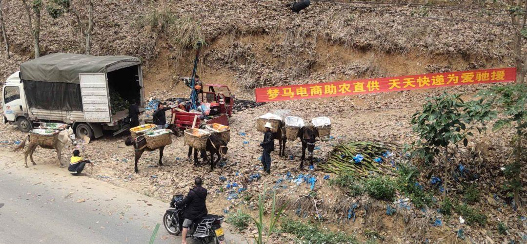 全国疫情分布最新数据,精准防控下的动态图景 全国疫情分布最新数据,精准防控下的动态图景