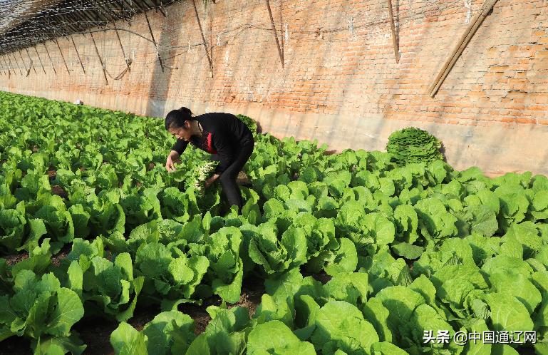 内蒙古通辽有一例新冠病毒吗/内蒙古通辽确诊 内蒙古通辽有一例新冠病毒吗/内蒙古通辽确诊
