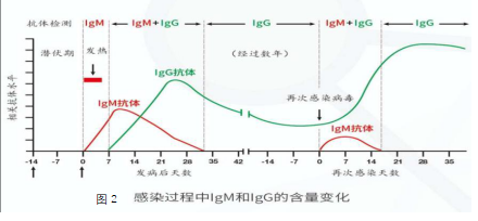 核酸检测十次阴,第十一次阳（新冠核酸检测11次复阳）
