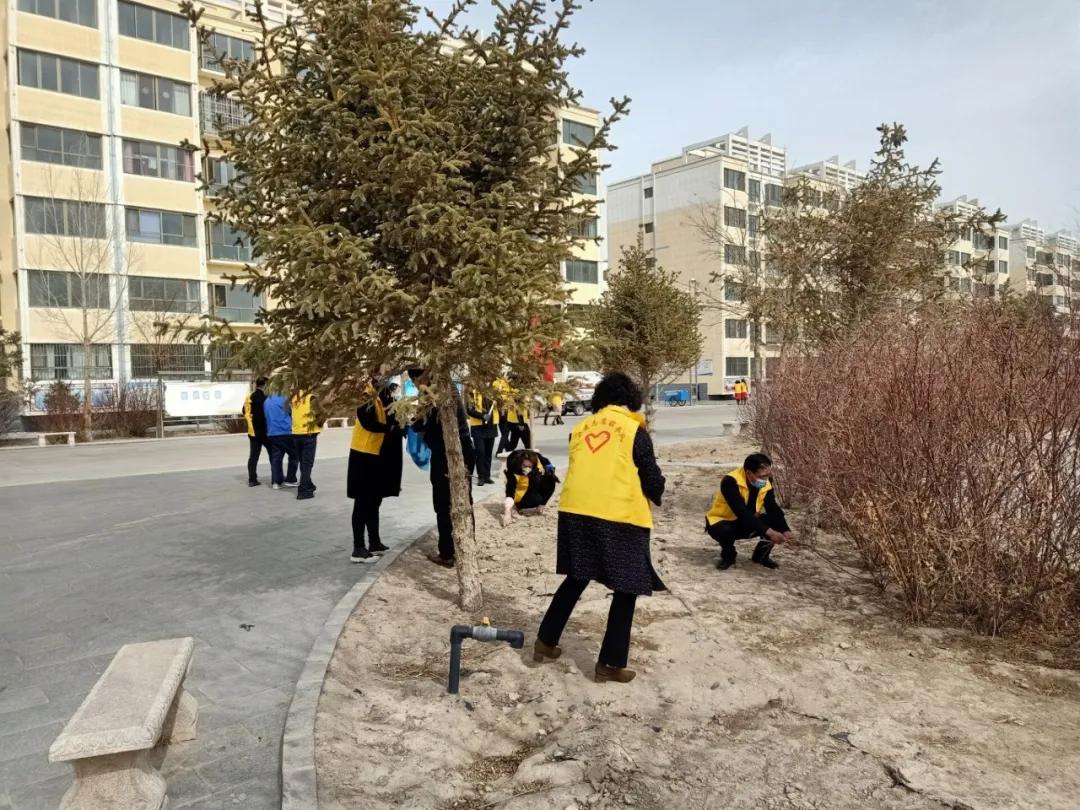 甘肃最新疫情新增情况，精准防控不松懈，筑牢健康安全线