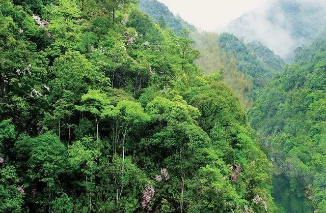 国庆放假安排?/国庆放假安排我是一只洁白的小羔羊是什么歌 国庆放假安排?/国庆放假安排我是一只洁白的小羔羊是什么歌