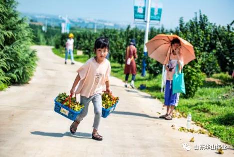 【2021年清明是几月几号几点,2021年清明是几号几点几分】