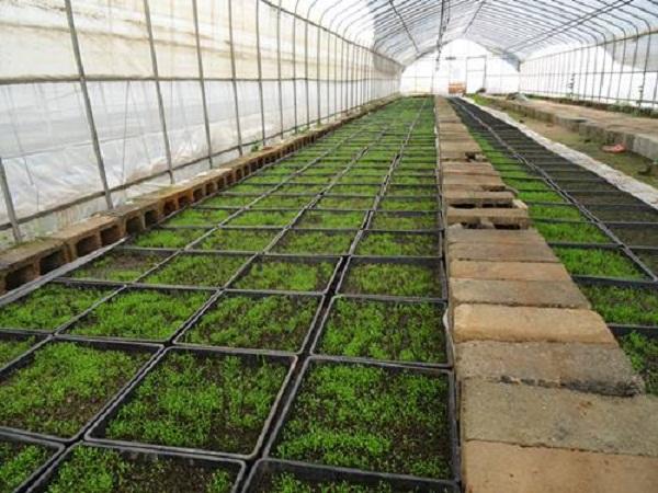 今日股票大盘点数,市场波动中的机遇与挑战 今日股票大盘点数,市场波动中的机遇与挑战