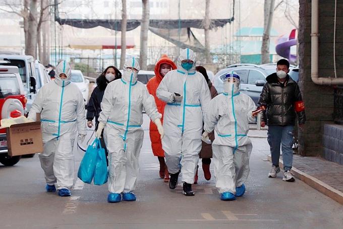 石家庄累计新增/石家庄新增多少病例