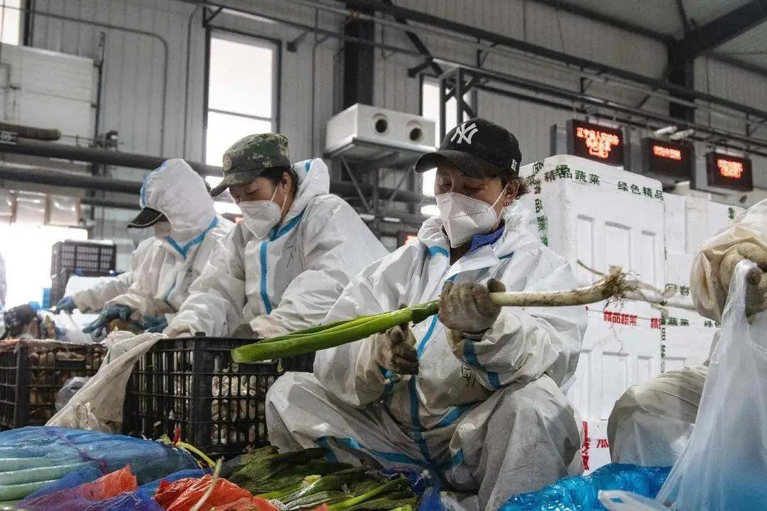 沈阳此次疫情源头探析,冷链传播与防控挑战 沈阳此次疫情源头探析,冷链传播与防控挑战