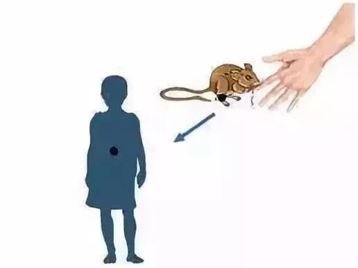 【出血热会不会传染人,出血热患者会不会传染给别人】 【出血热会不会传染人,出血热患者会不会传染给别人】