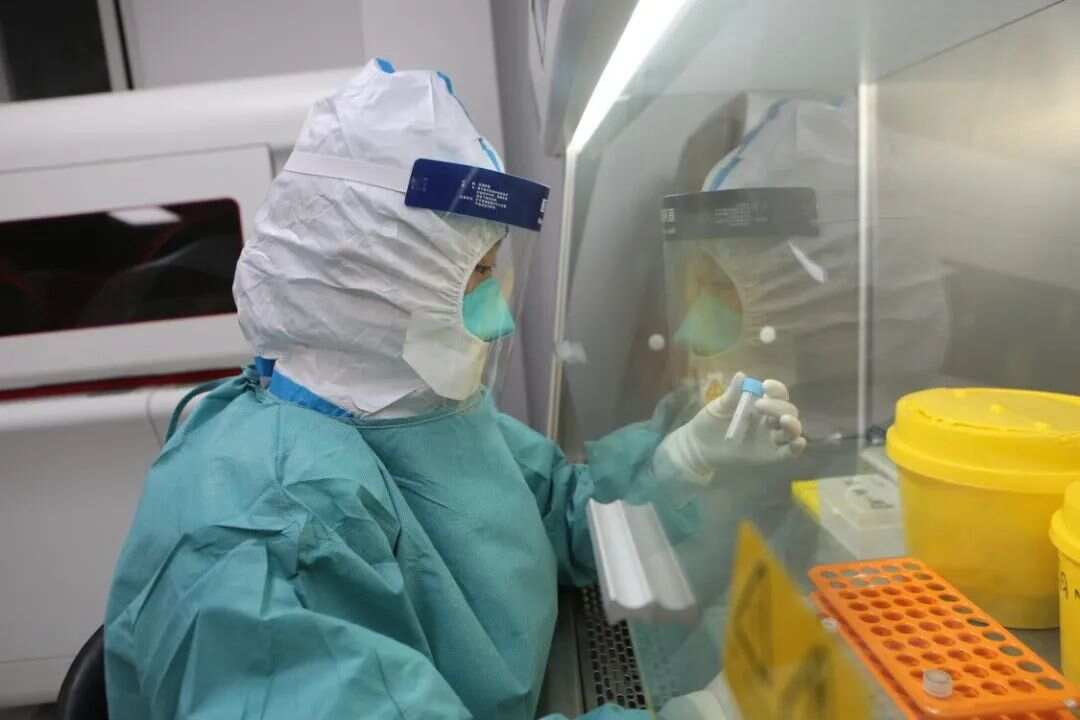 核酸检测单人单检和混检的区别 核酸检测单人单检和混检的区别