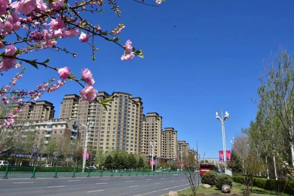 哈尔滨市63路公交线路图/哈尔滨市63路公交线路图查询 哈尔滨市63路公交线路图/哈尔滨市63路公交线路图查询