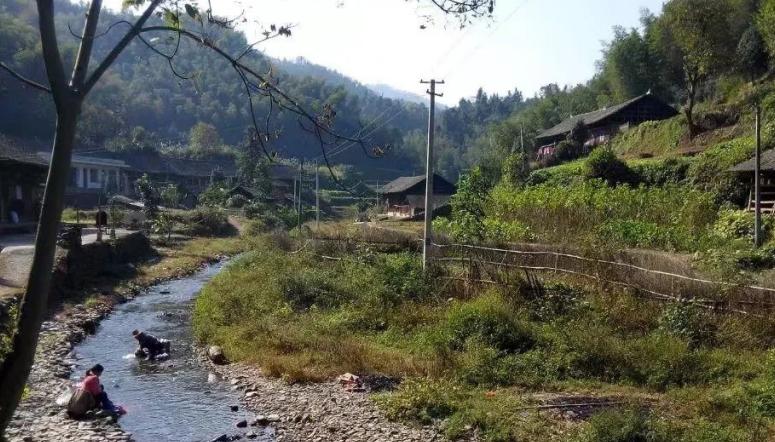 北京静默咖啡,喧嚣都市中的心灵栖息地 北京静默咖啡,喧嚣都市中的心灵栖息地