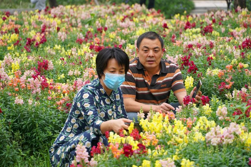 【佛山疫情会传染人吗/佛山疫情会传染人吗需要带口罩吗】 【佛山疫情会传染人吗/佛山疫情会传染人吗需要带口罩吗】