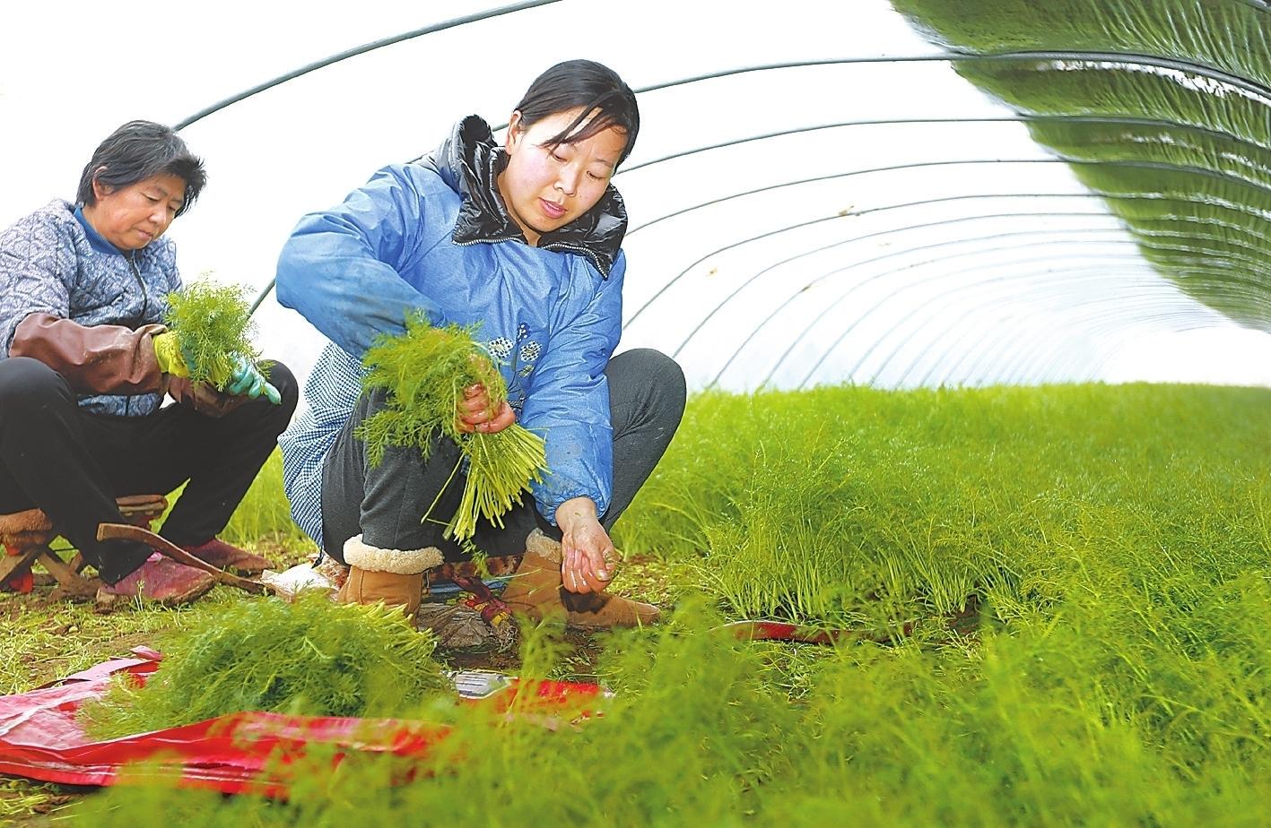 衡水故城历史记载简介/衡水故城百度贴吧 衡水故城历史记载简介/衡水故城百度贴吧