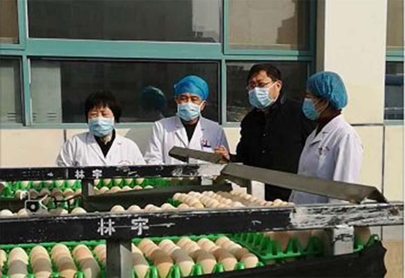 即墨新冠疫情最新动态,防控措施全面升级,市民生活有序保障 即墨新冠疫情最新动态,防控措施全面升级,市民生活有序保障