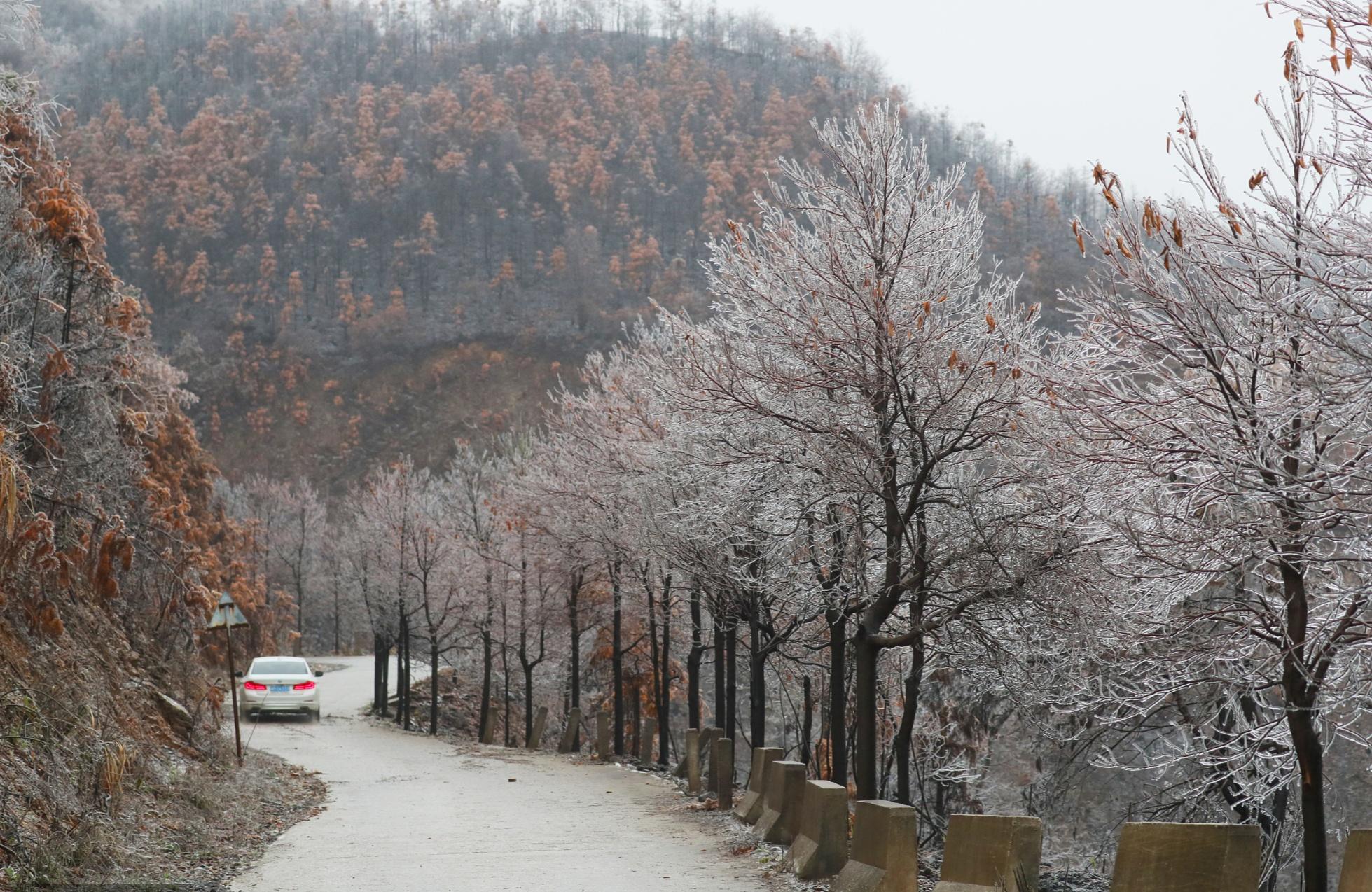 四川有几个中风险区(四川现有的中风险地区) 四川有几个中风险区(四川现有的中风险地区)