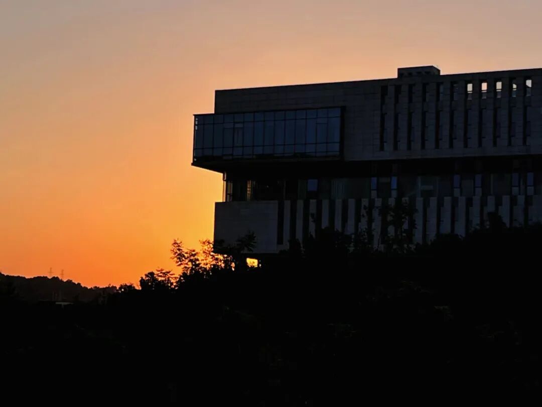 象牙塔的黄昏,疫情后大学的祛魅与重塑 象牙塔的黄昏,疫情后大学的祛魅与重塑