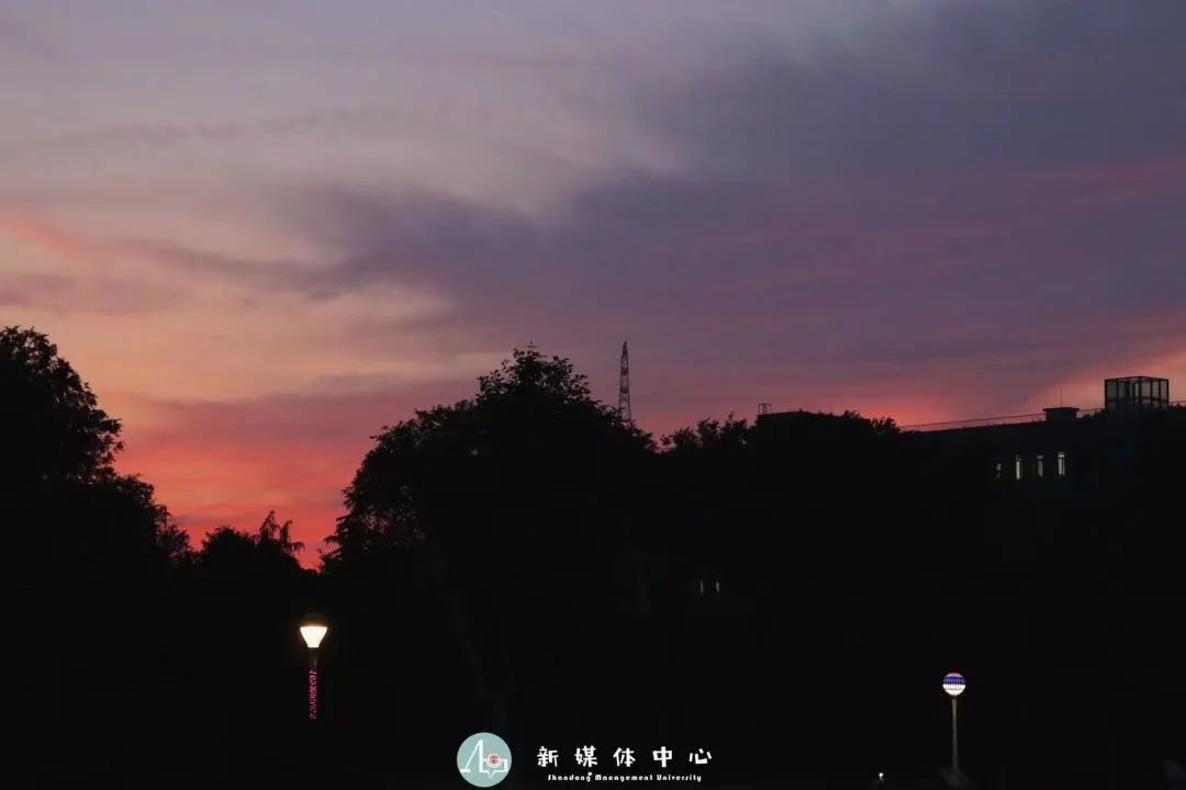 象牙塔的黄昏,疫情后大学的祛魅与重塑 象牙塔的黄昏,疫情后大学的祛魅与重塑