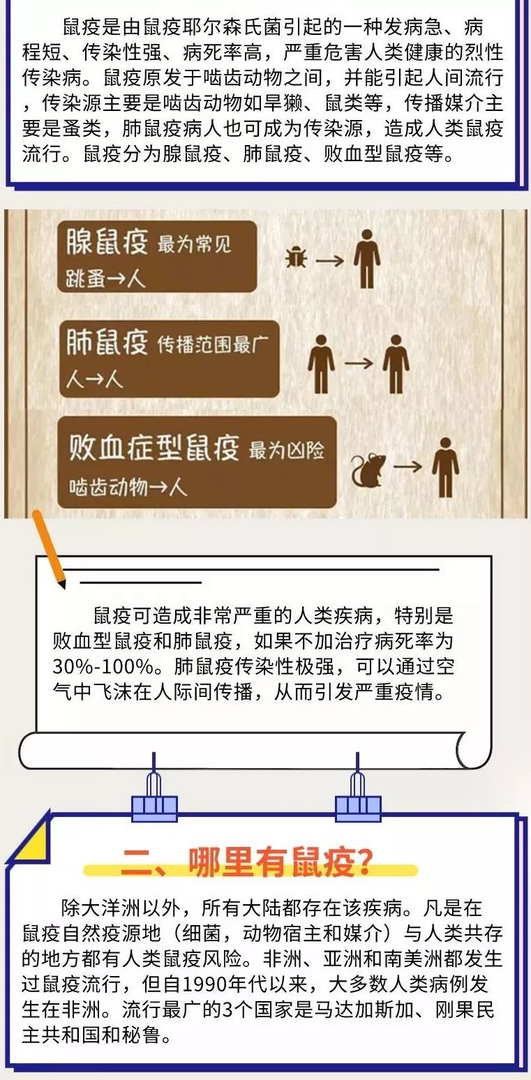 全国鼠疫多少例,现状、防控与公众认知 全国鼠疫多少例,现状、防控与公众认知