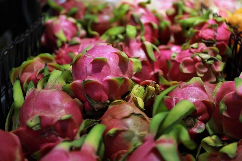 核酸检测6次显示弱阳性(核酸检测结果显示弱阳性) 核酸检测6次显示弱阳性(核酸检测结果显示弱阳性)