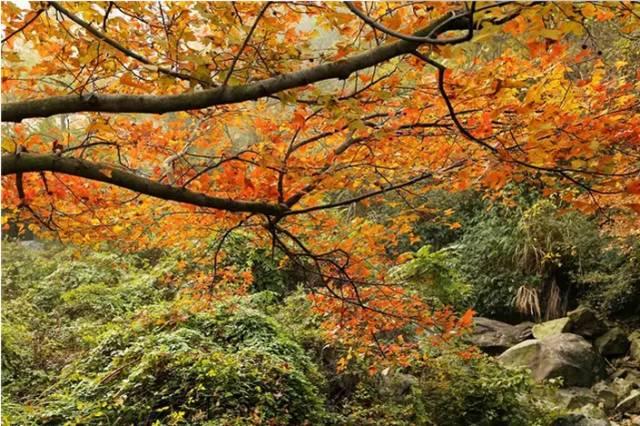 舟山疫情实时动态,精准防控下的海岛守护 舟山疫情实时动态,精准防控下的海岛守护