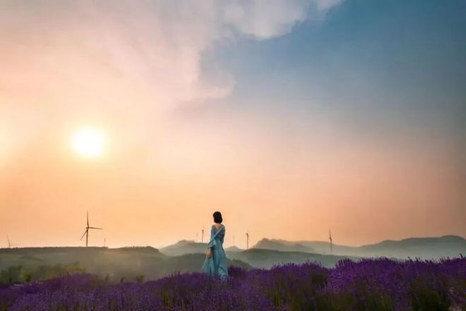 归途的温度 归途的温度