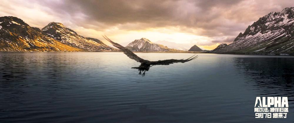 归途的温度 归途的温度