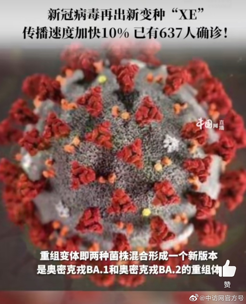 【最新变异株,变异株新冠病毒图片】 【最新变异株,变异株新冠病毒图片】