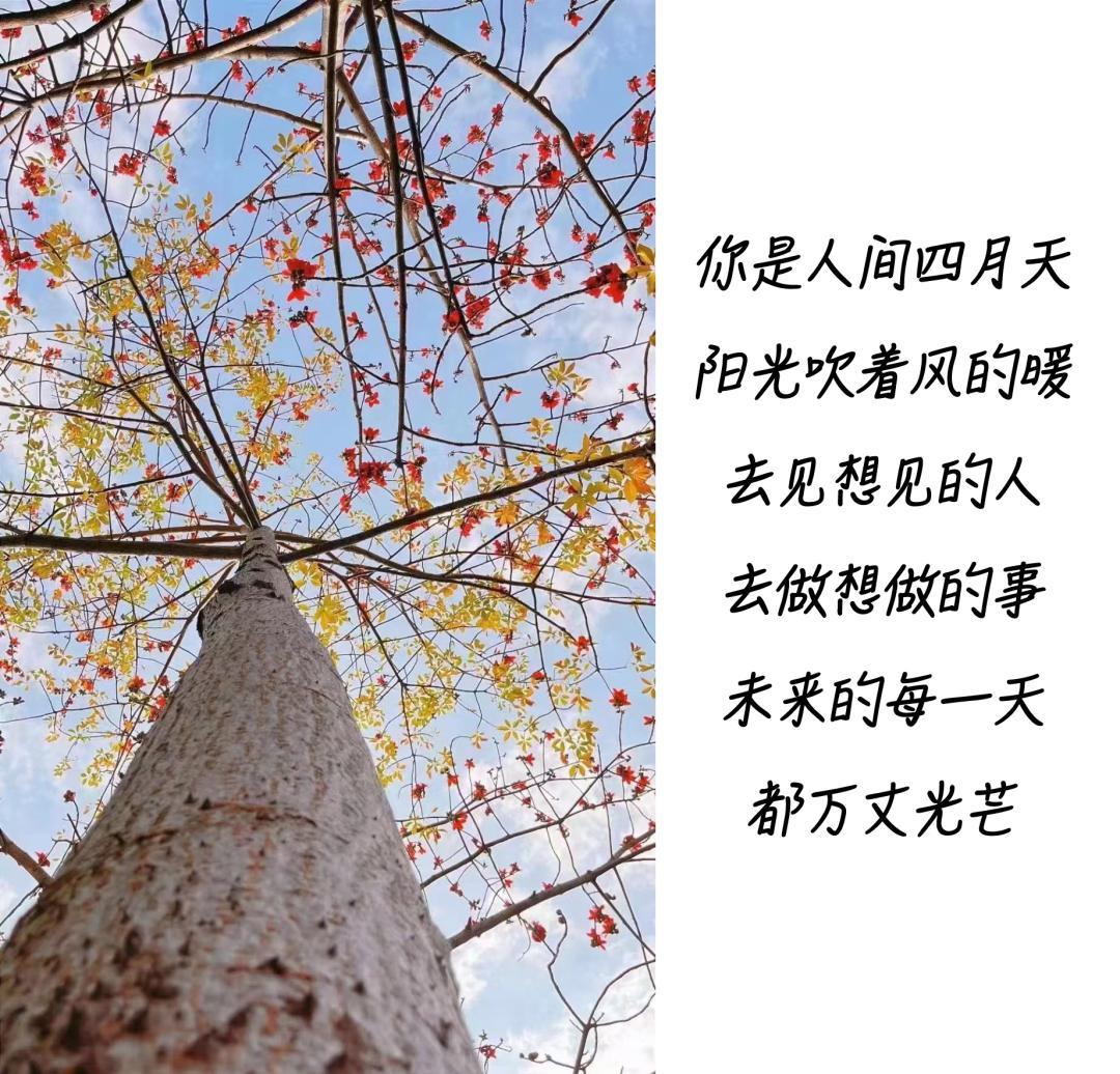 31省新增36例均为境外输入/31省新增5例 均为境外输入 31省新增36例均为境外输入/31省新增5例 均为境外输入