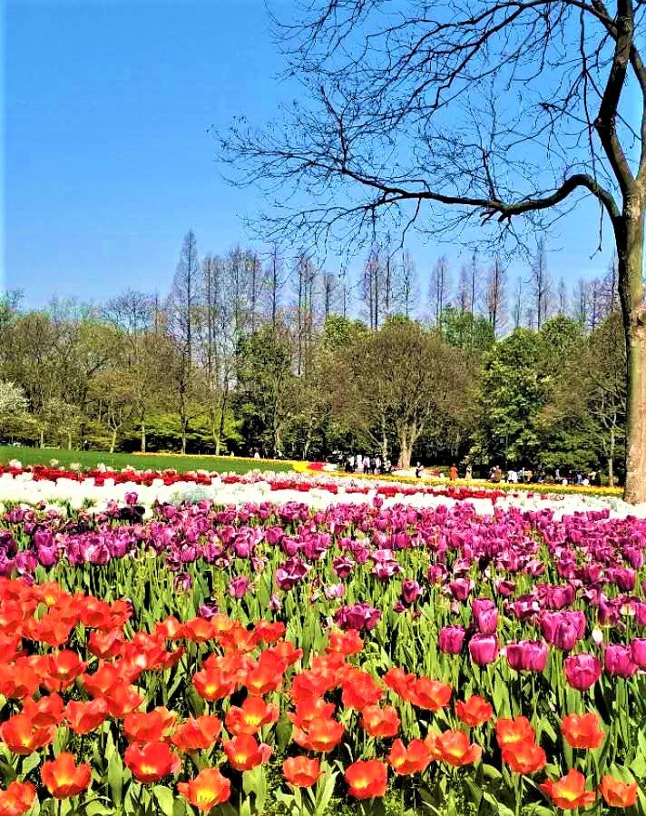 【杭州疫情处于逐步上升态势吗/杭州疫情升级】 【杭州疫情处于逐步上升态势吗/杭州疫情升级】