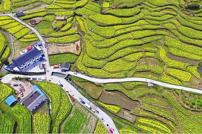 【杭州疫情处于逐步上升态势吗/杭州疫情升级】 【杭州疫情处于逐步上升态势吗/杭州疫情升级】