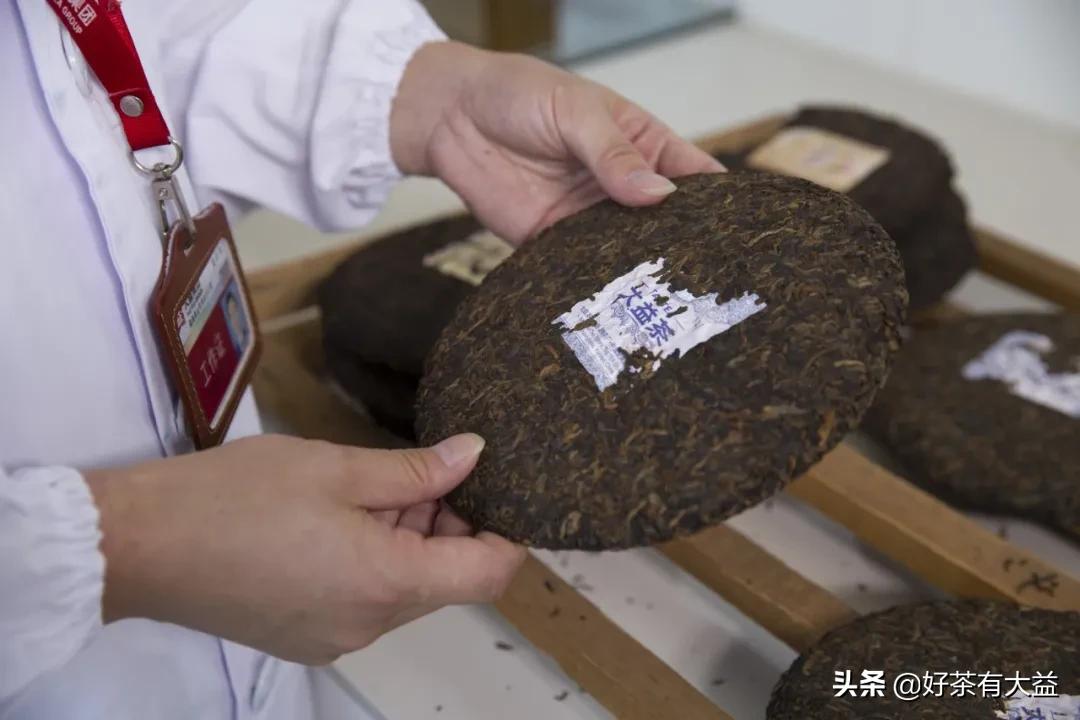 刚刚!新冠疫情再传大消息,后疫情时代我们该如何自处? 刚刚!新冠疫情再传大消息,后疫情时代我们该如何自处?