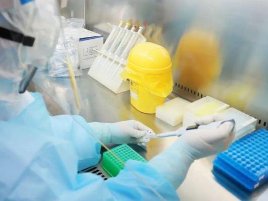 【郑州已发现63例本土感染者/郑州已报告本土确诊81例】 【郑州已发现63例本土感染者/郑州已报告本土确诊81例】