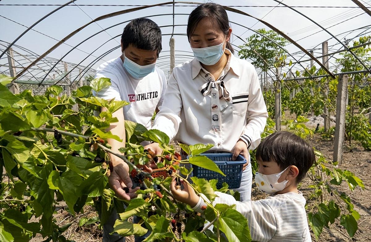 【泰州疫情实时动态/泰州疫情实时动态数据】