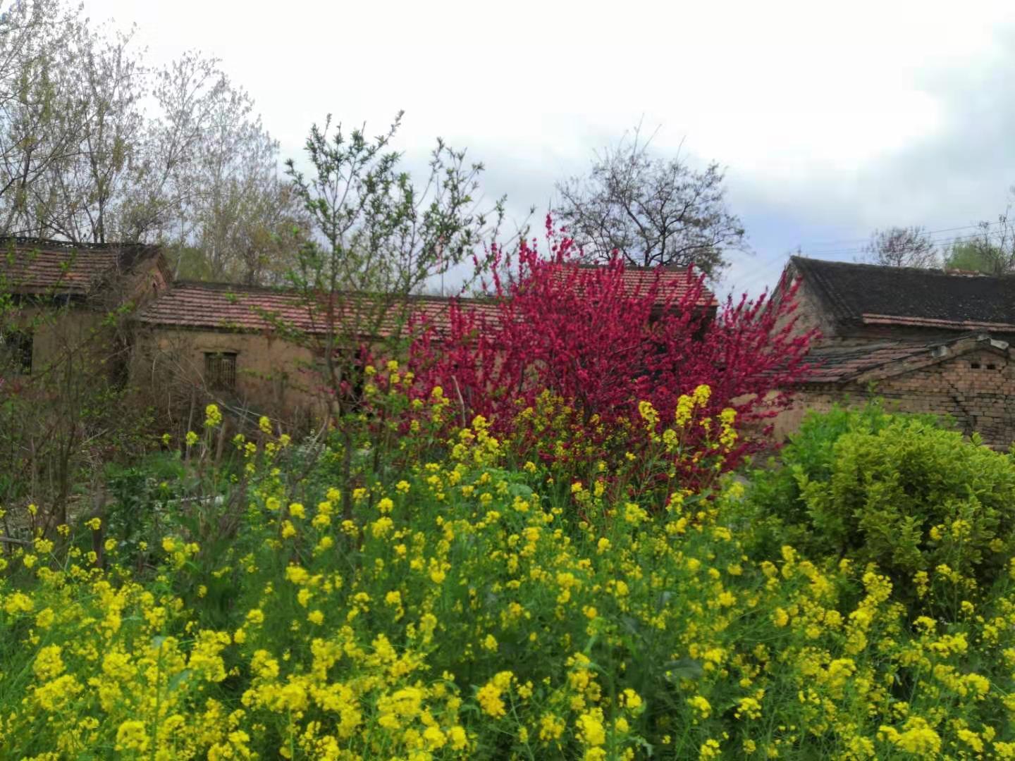 2021年清明节放假通知怎么写?附标准模板与范文 2021年清明节放假通知怎么写?附标准模板与范文