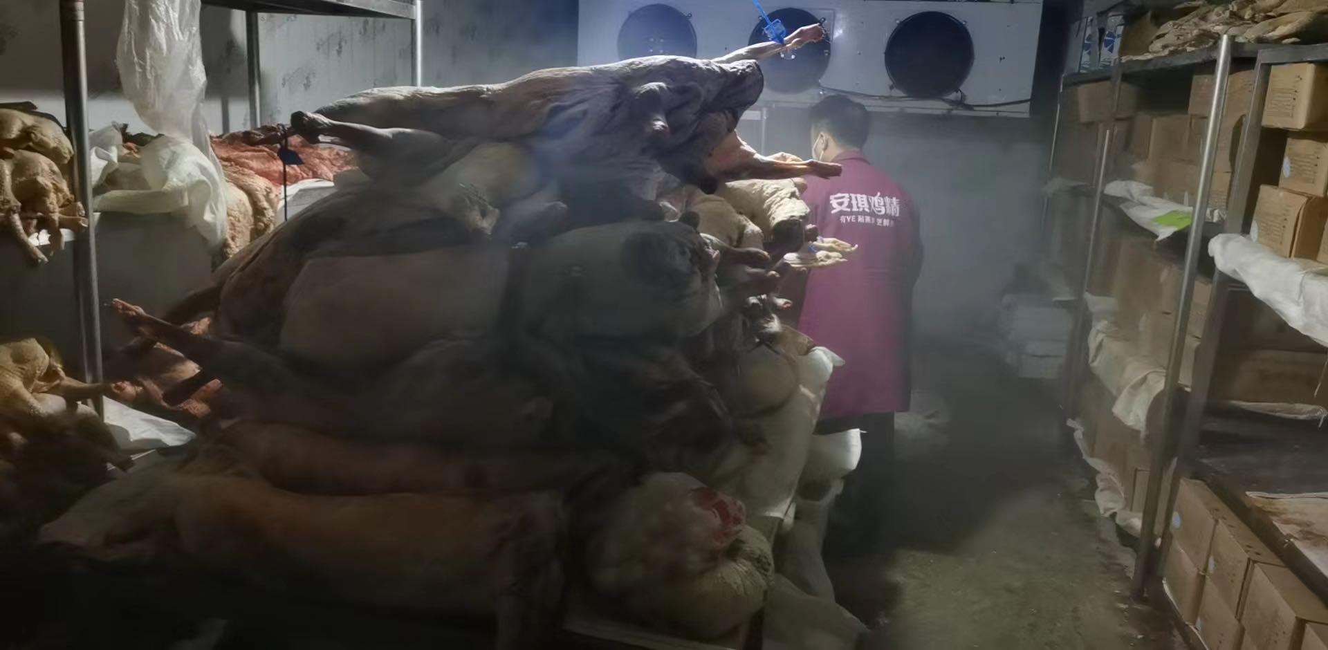 库尔勒封闭了吗?当前防疫政策与市民生活现状解析 库尔勒封闭了吗?当前防疫政策与市民生活现状解析