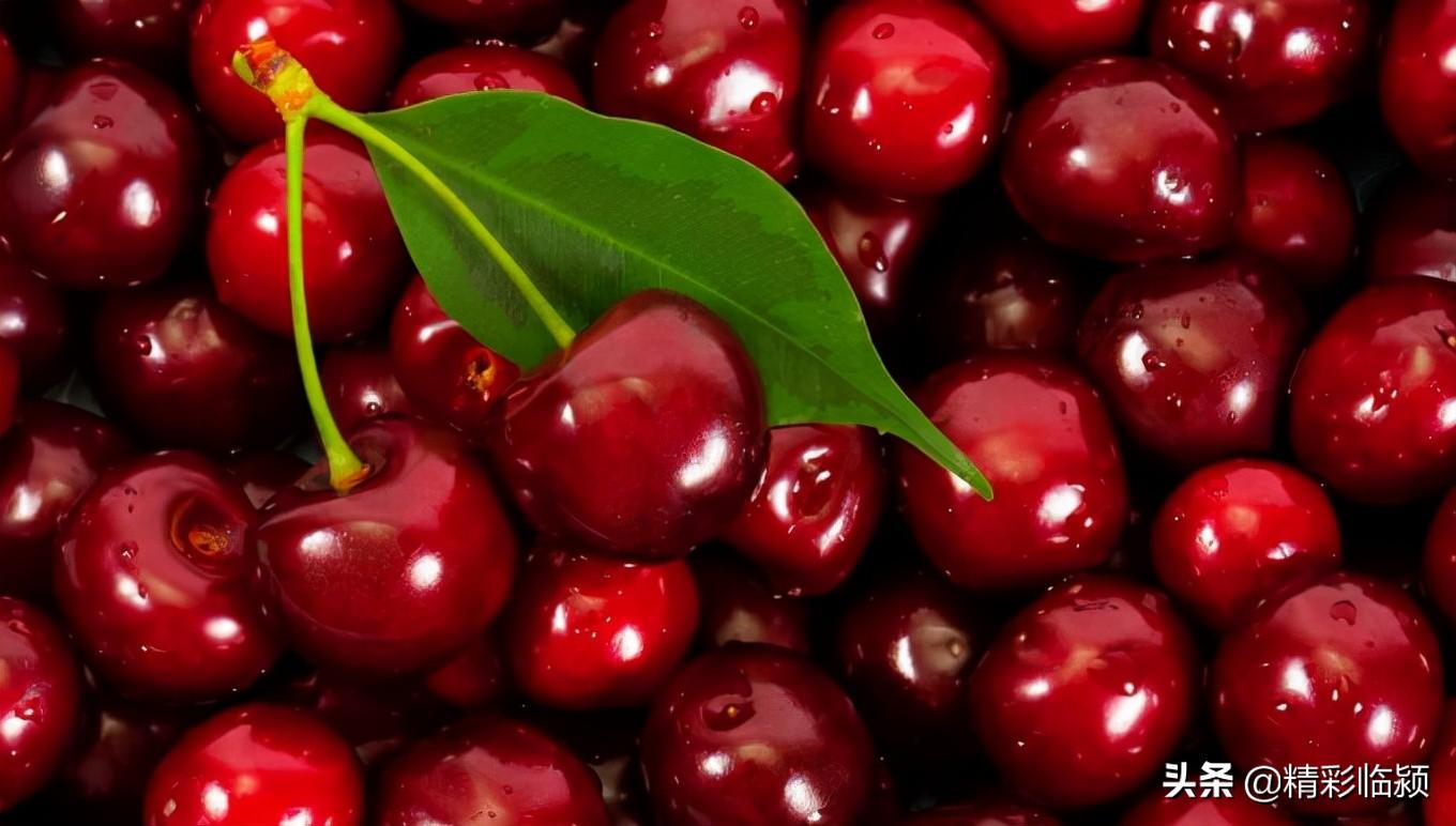 车厘子核酸阳性是什么意思/车厘子核酸阳性?