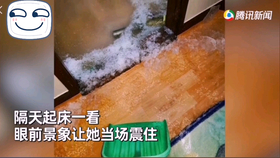 石家庄一对年轻夫妇确诊:石家庄一对年轻夫妇确诊,丈夫行程