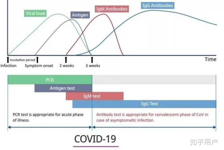 从阳性到转弱，一天之隔，健康之路的警示与希望