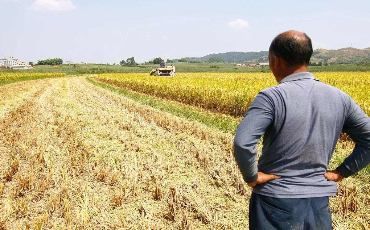 【上海有多少人口2023/上海有多少人口2023年】