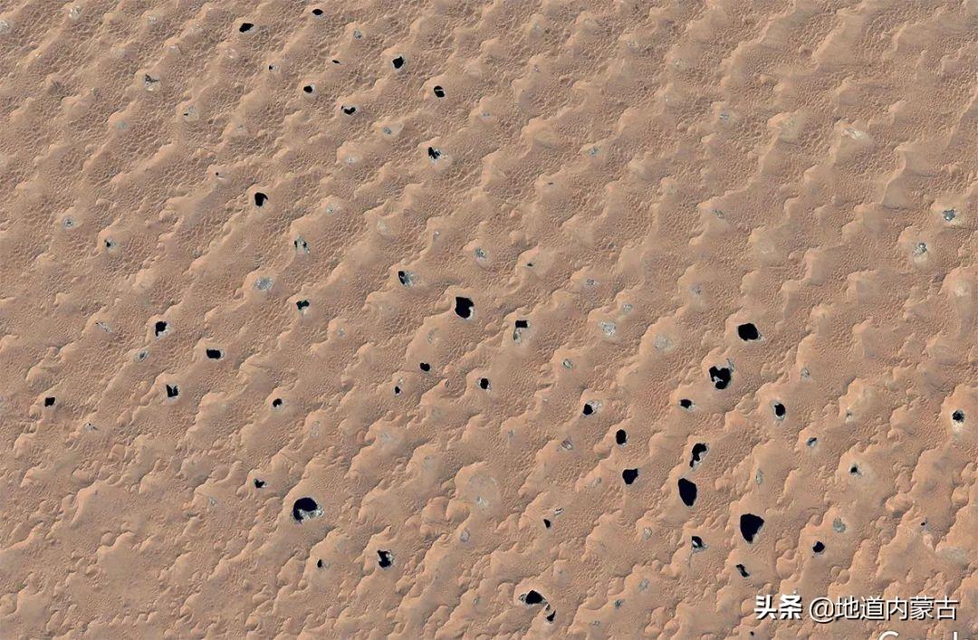 吉林省新增本地确诊144例是哪里的:吉林省新增10例确诊