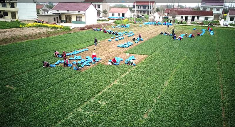 南通新增确诊病例/南通新增确诊病例在哪里