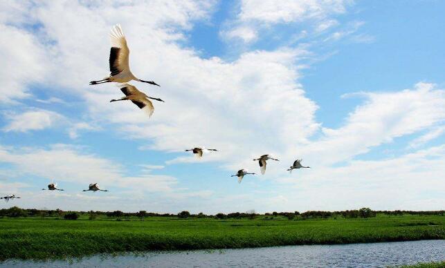 白城与PS4，当边陲小城遇见电子宇宙