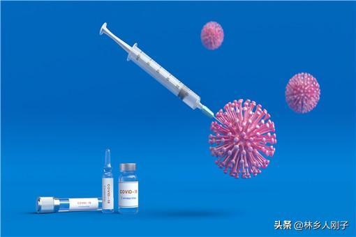 【安徽新冠疫苗智飞生物,安徽智飞新冠疫苗的】