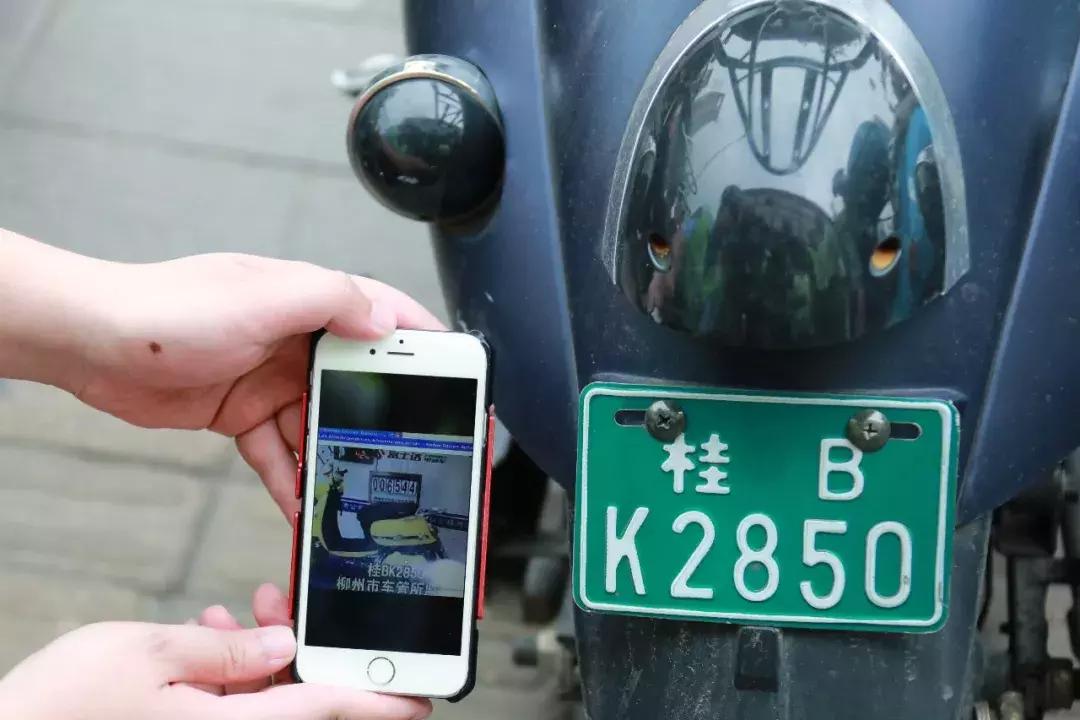 怀疑自己闯红灯怎么快速查询:怀疑自己闯红灯怎么快速查询几个小时后能查到 怀疑自己闯红灯怎么快速查询:怀疑自己闯红灯怎么快速查询几个小时后能查到