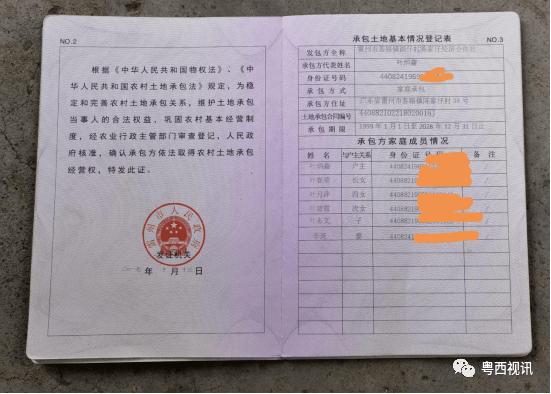 【雷州市猪场/雷州最大猪场】 【雷州市猪场/雷州最大猪场】